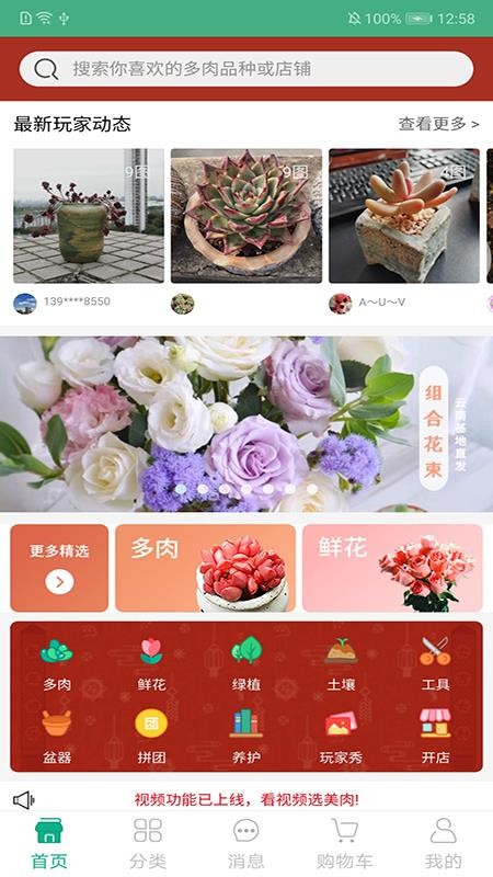 吾花肉