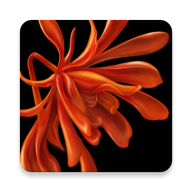 ܼapp-ܼ v2.2.56 ֻ