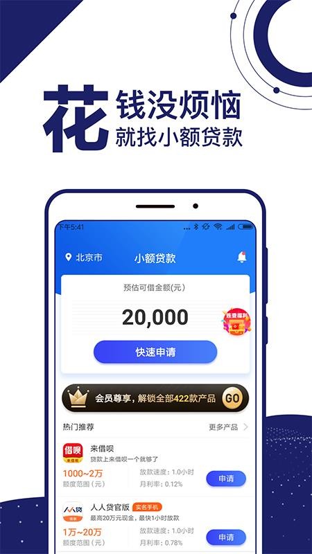 小额贷款花