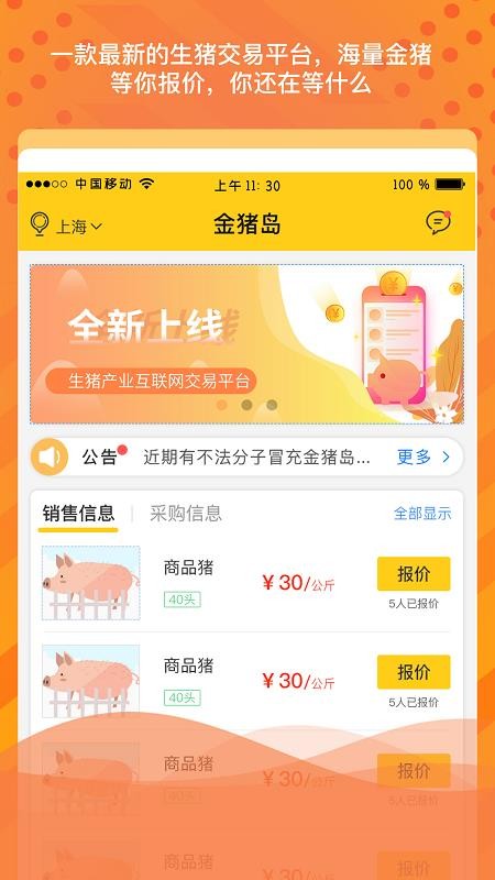 金猪岛
