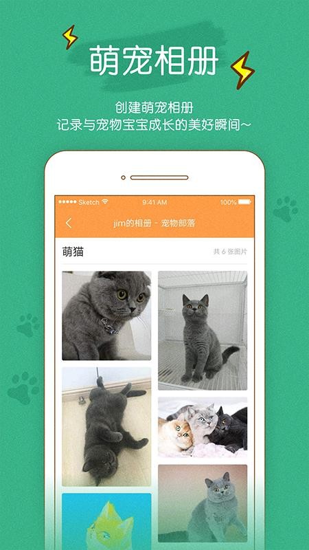 宠物部落