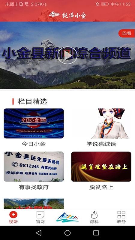 纯净小金