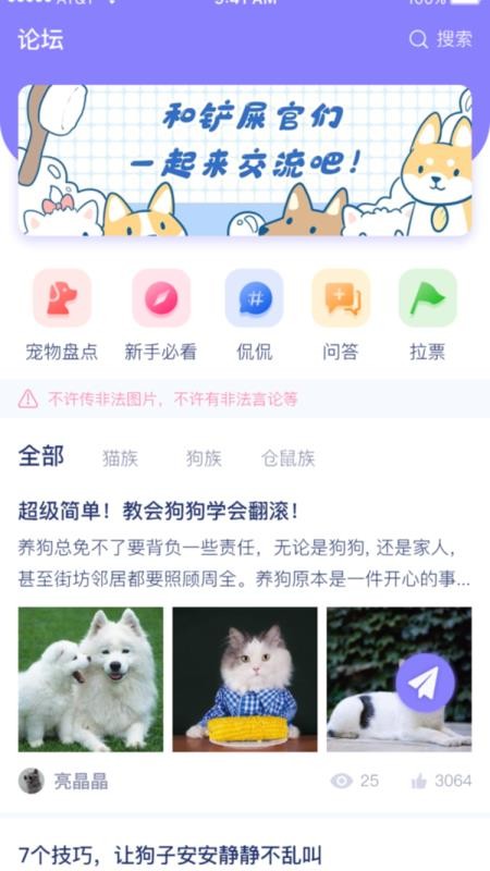 宠它