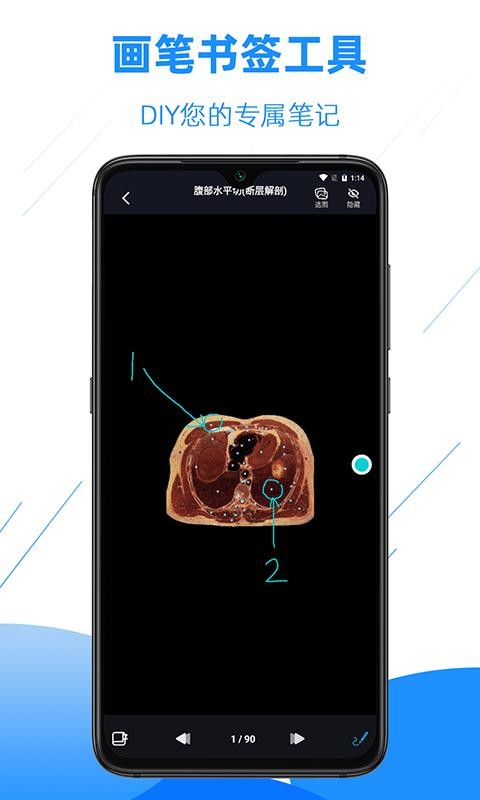 影像解剖图谱