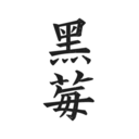 黑莓小说app最新版免费下载-黑莓小说最新版免费下载