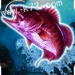 ʵרҵ3dios-ʵרҵ3d Real Wild Fishing Aceƻv1.6