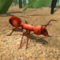 ģ׿-Fire Ant Simulatorƽv1.0