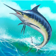 ǹ-ǹϷv1.0.1The Blue Marlin׿