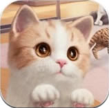 Project Cat手游(暂未上线)-Project Cat游戏预约v1.0安卓版
