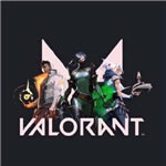 ValorantηԼֻ(δ)-ValorantηԼϷԤԼv1.0İ