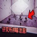 the fallen foundationİԤԼ(δ)v1.0