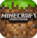 ҵbuzzybees汾-Minecraf buzzybeesv1.18.31.04